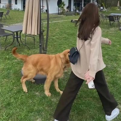 一千根绳